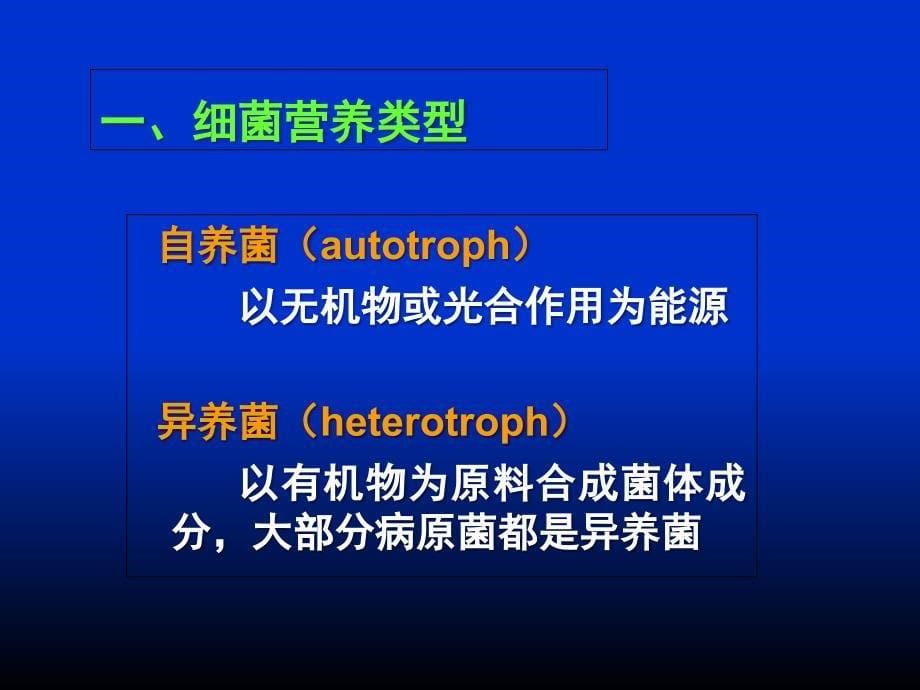 细菌的生理课件_第5页