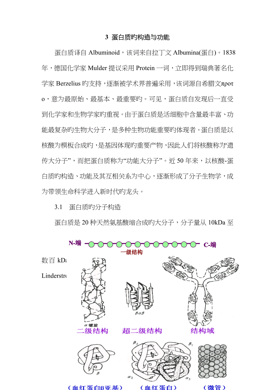 第一节蛋白质的结构_第1页