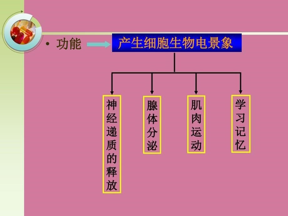 作用于心血管系统离子道的药物药理学ppt课件_第5页