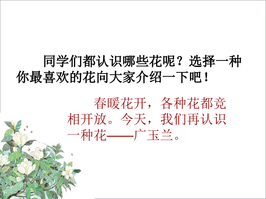 《广玉兰》PPT课件（苏教版六年级语文下册课件）_第2页