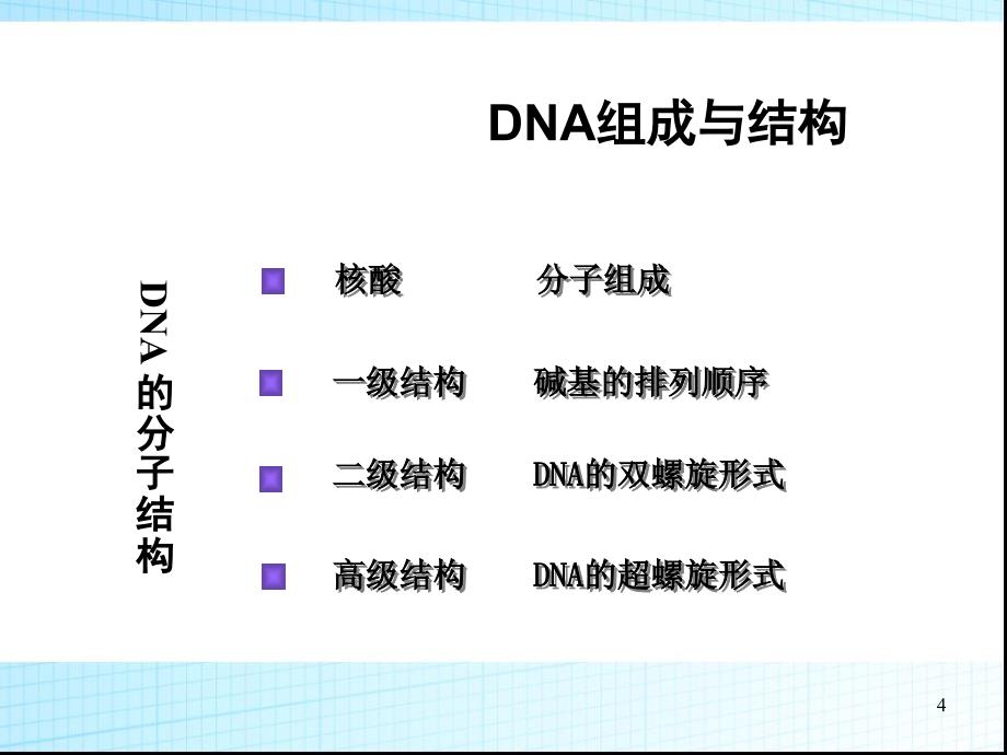 重组DNA技术基础1_第4页