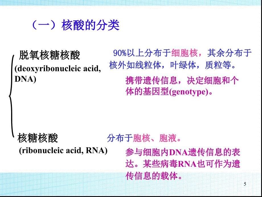 重组DNA技术基础1_第5页