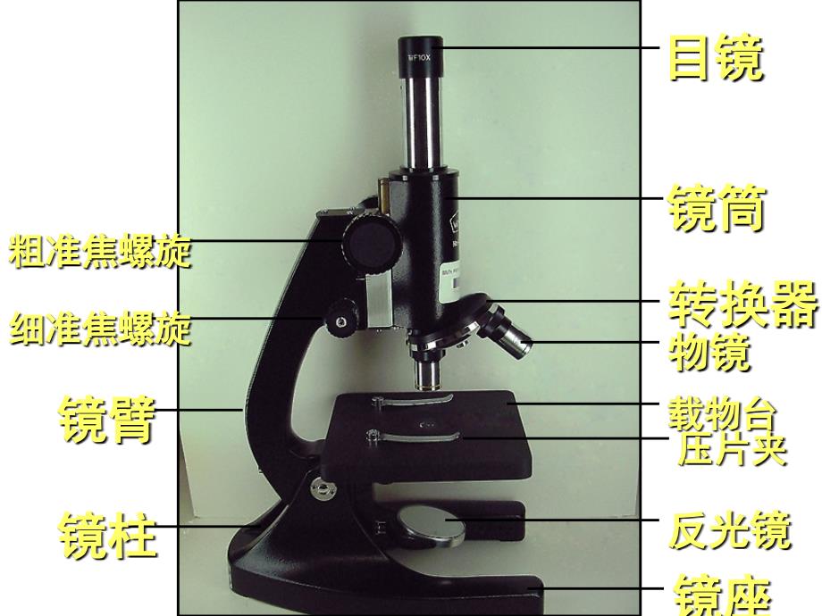 显微镜和有机物检测_第3页