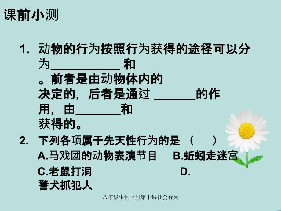 八年级生物上册第十课社会行为_第1页