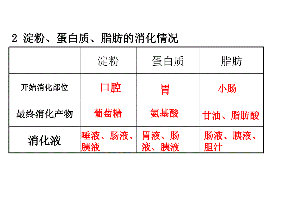 第二节 消化与吸收（第二学时）_第3页