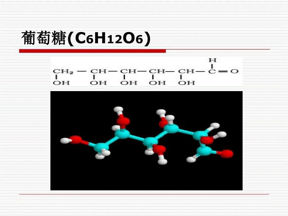 生物必修一第二章第4节_第5页