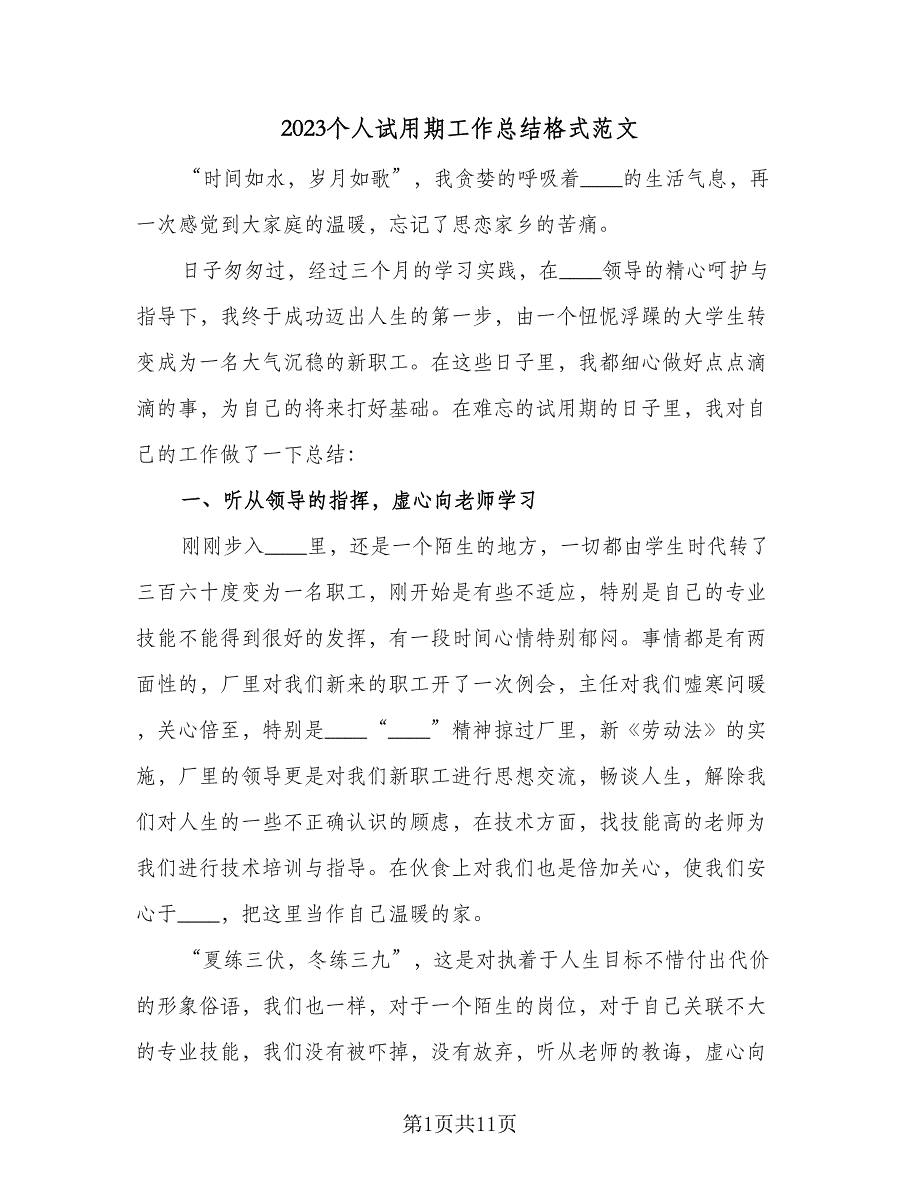 2023个人试用期工作总结格式范文（5篇）.doc_第1页