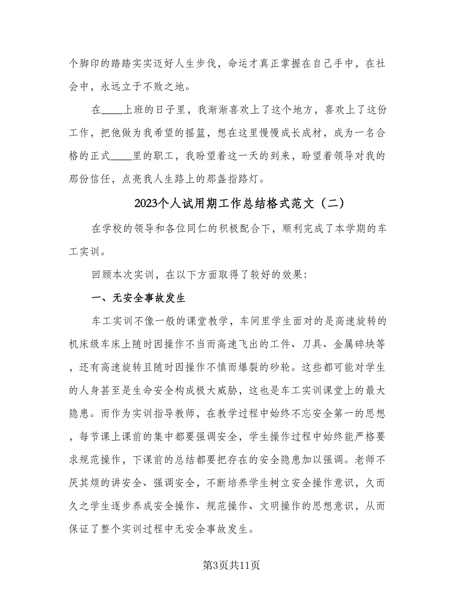 2023个人试用期工作总结格式范文（5篇）.doc_第3页