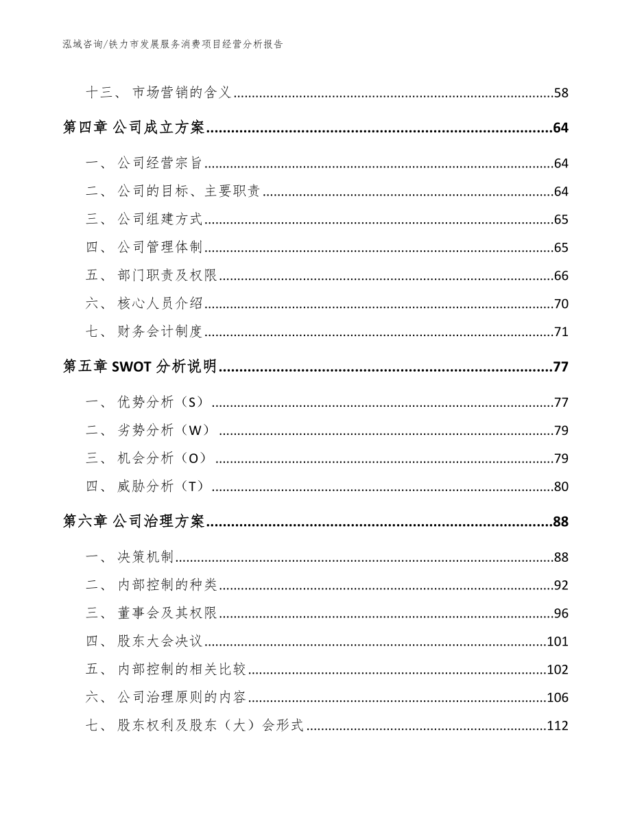 铁力市发展服务消费项目经营分析报告_第2页