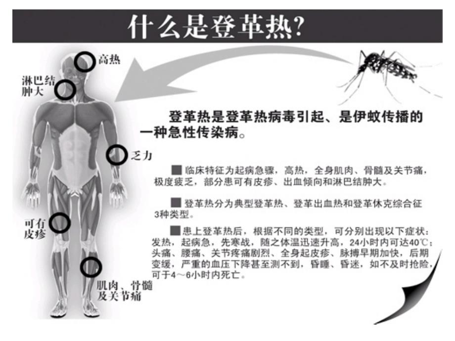 登革热班会课_第2页