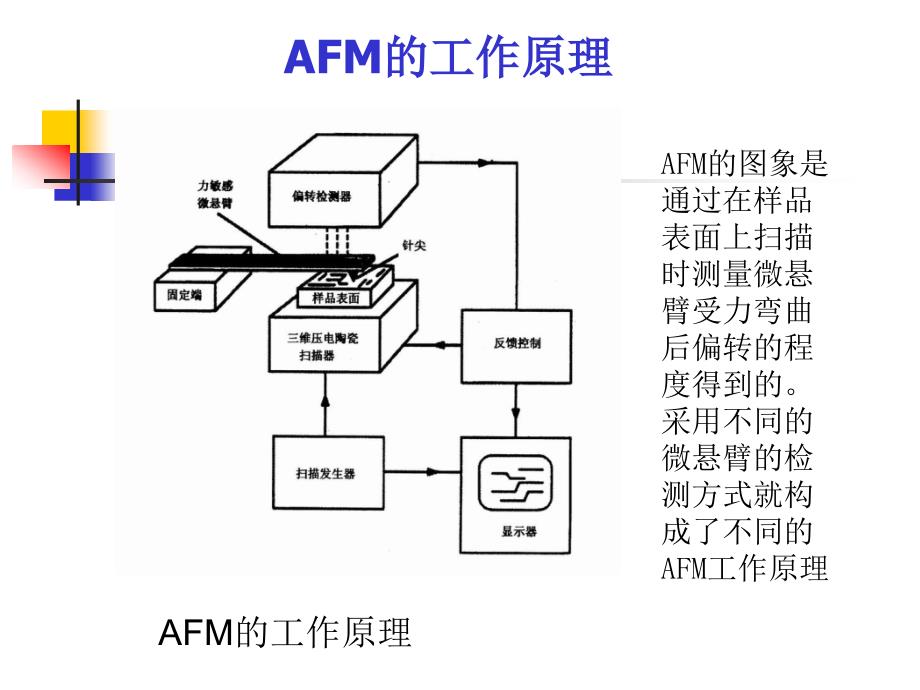 原子力显微镜(AFM)课件_第2页