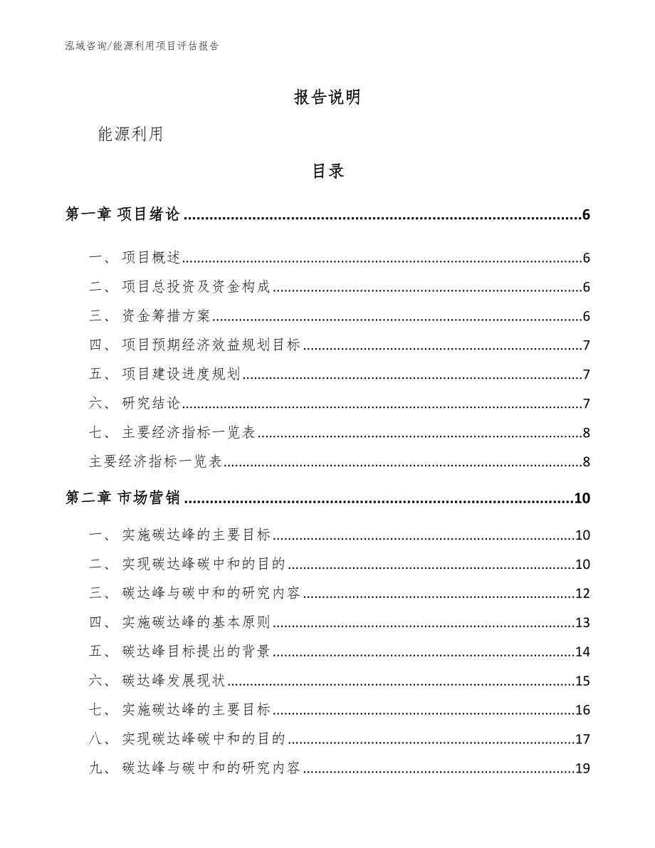 能源利用项目评估报告_模板参考_第1页