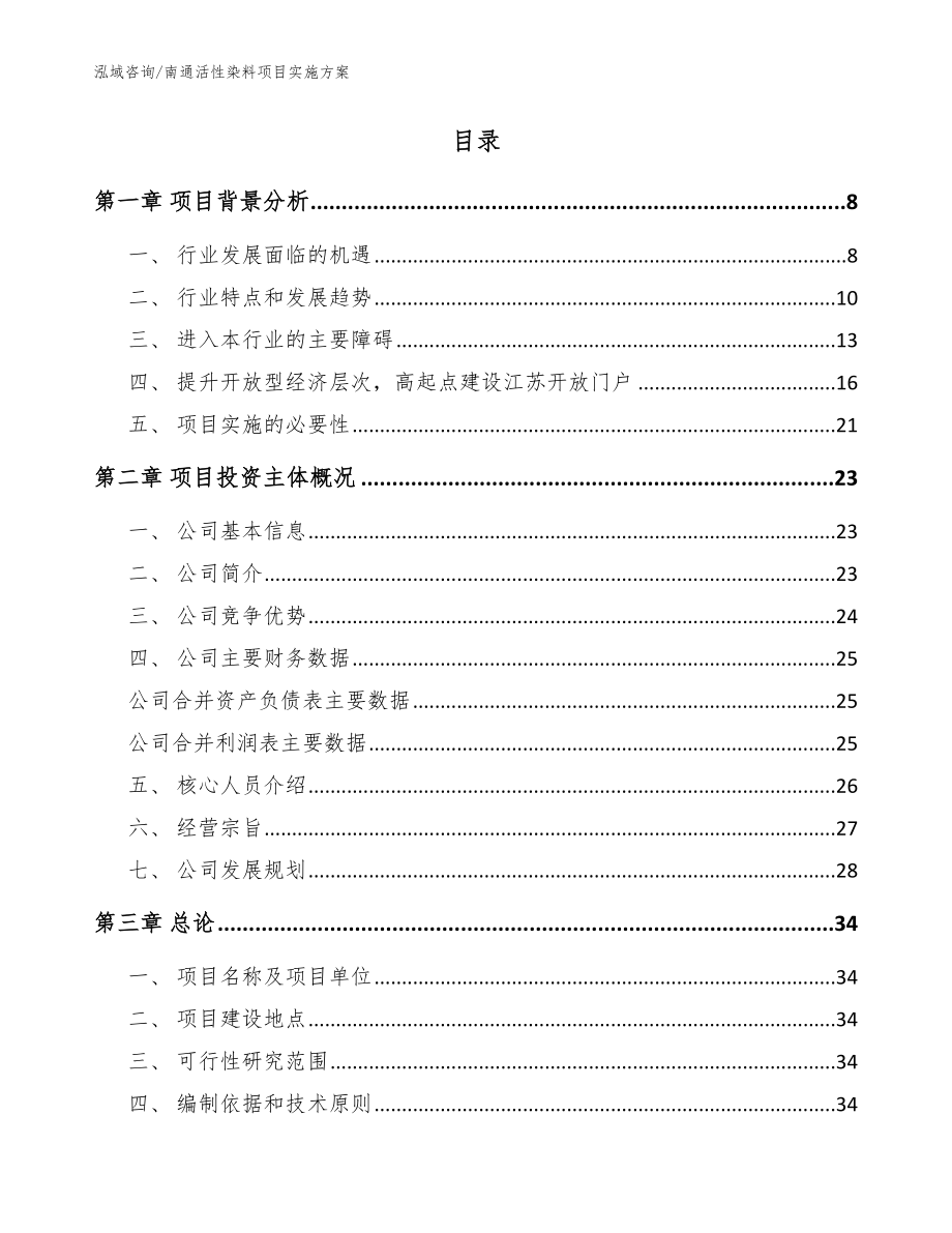 南通活性染料项目实施方案【模板范文】_第2页