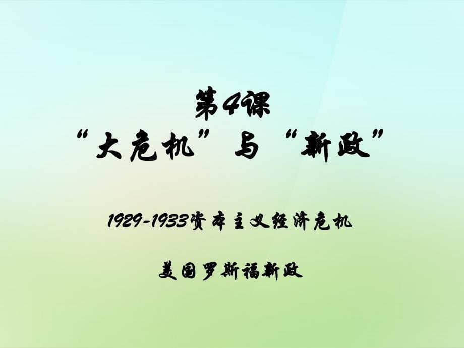 山东省单县希望初级中学九年级历史下册1.4“大危机”与“新政”课件北师大版_第5页