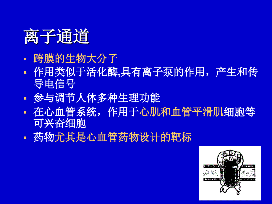 钙通道阻滞剂dPPT课件_第2页