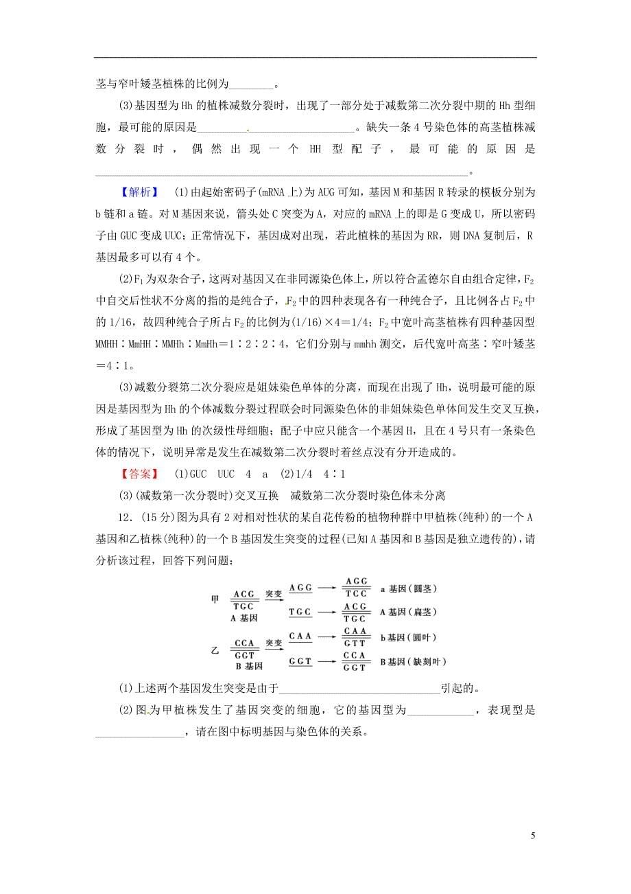 高考生物总复习基因突变和基因重组试题含解析_第5页