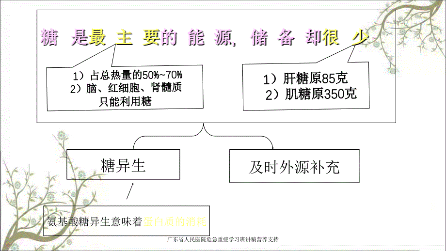 广东省人民医院危急重症学习班讲稿营养支持课件_第3页