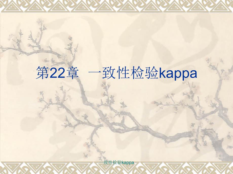 最新一致性检验kappaPPT_第1页