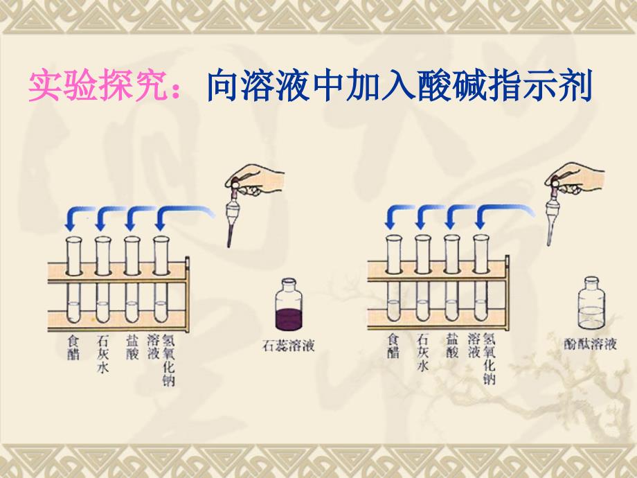 10-1常见的酸和碱-指示剂 (2)_第4页