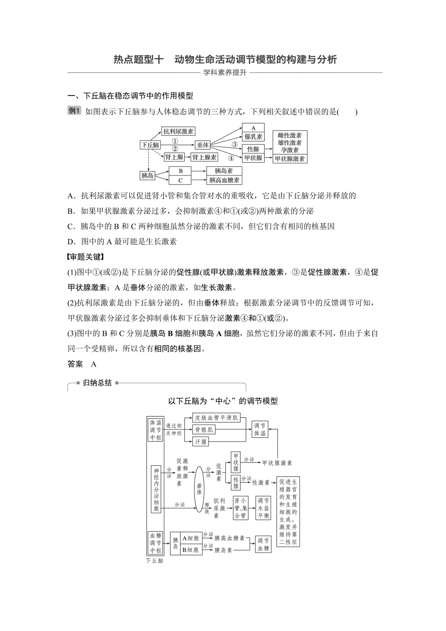 2020届高考生物一轮复习讲义 热点题型10 动物生物活动调节模型的构建与分析.docx_第1页