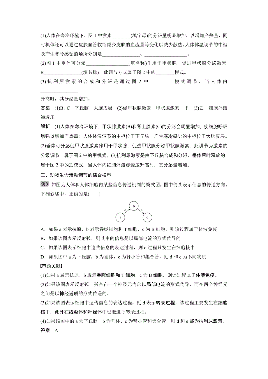 2020届高考生物一轮复习讲义 热点题型10 动物生物活动调节模型的构建与分析.docx_第4页