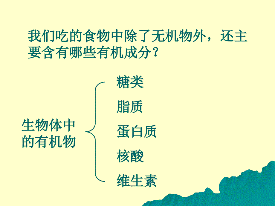 《生物体内的有机物》PPT课件.ppt_第2页