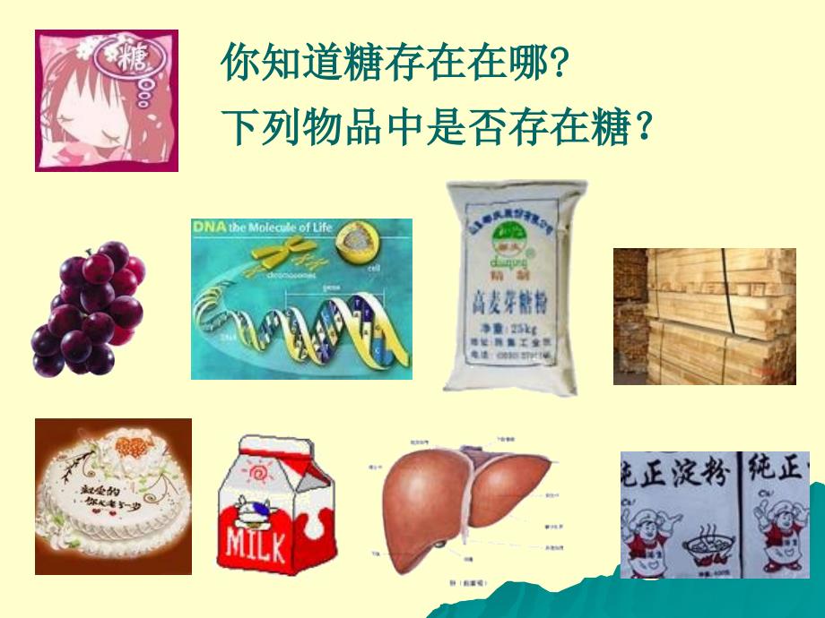 《生物体内的有机物》PPT课件.ppt_第3页