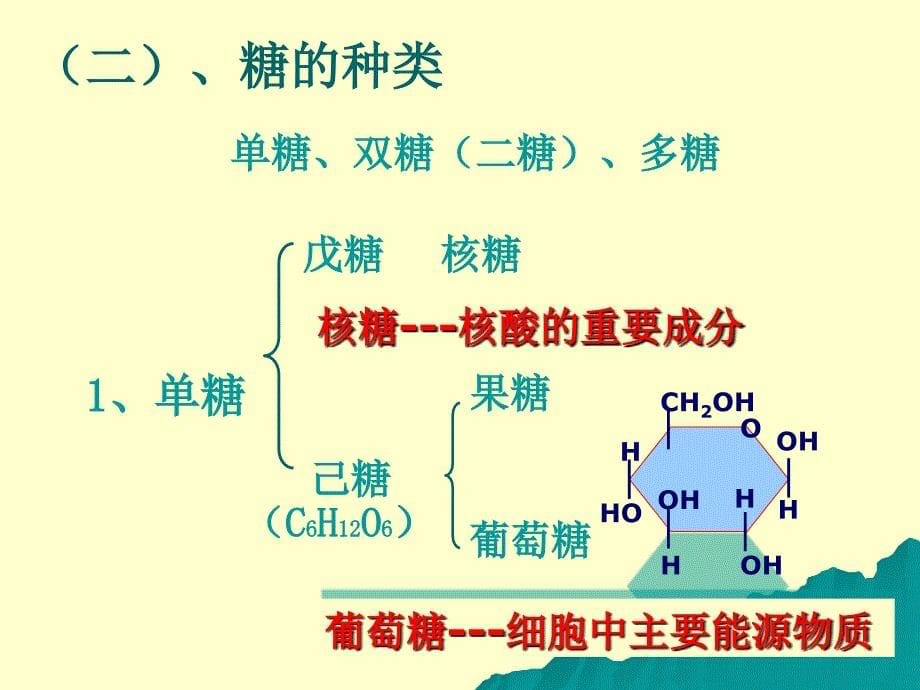 《生物体内的有机物》PPT课件.ppt_第5页