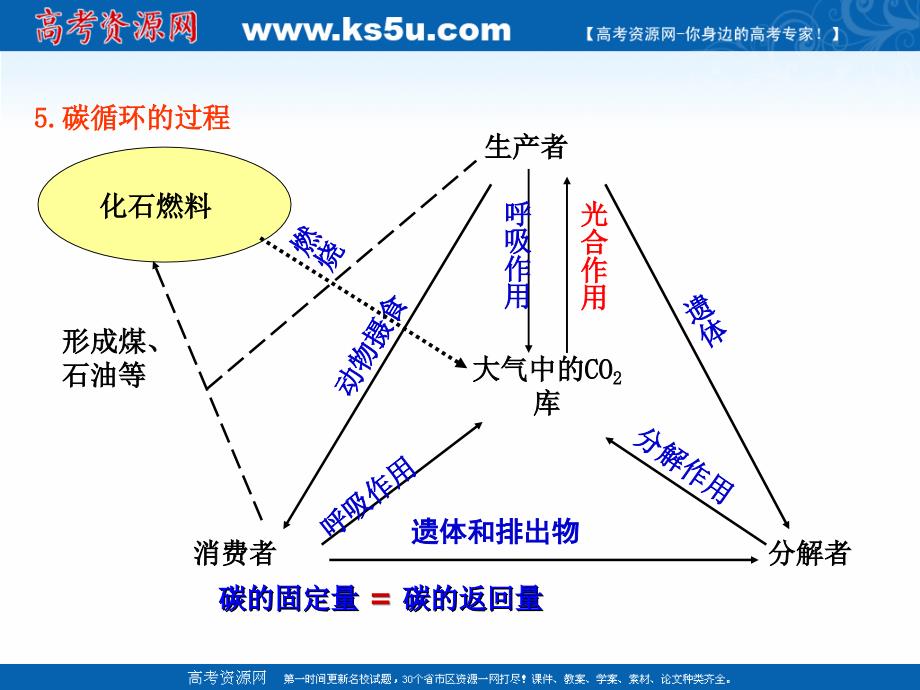 专题53_生态系统的物质循环（课件）-2016-2017学年高二生物同步精品课堂（基础版）（必修3）_第3页