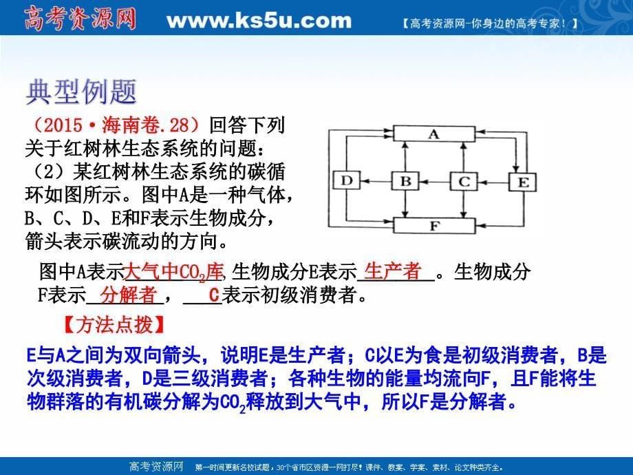 专题53_生态系统的物质循环（课件）-2016-2017学年高二生物同步精品课堂（基础版）（必修3）_第5页