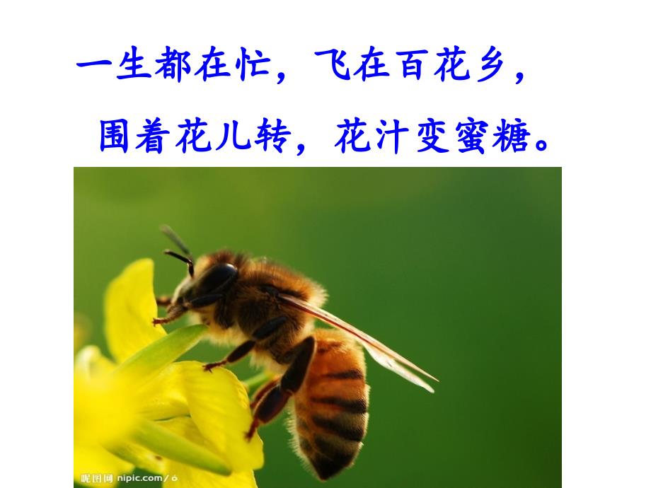 识字4 (12)_第3页