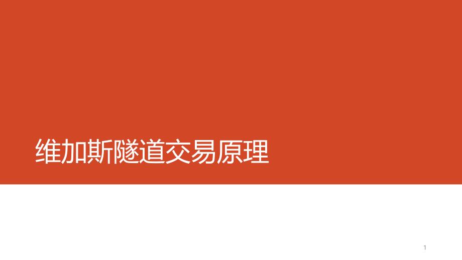 维加斯隧道交易原理ppt课件_第1页