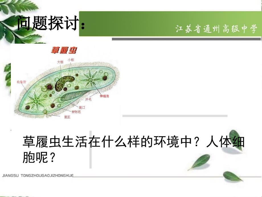 细胞生活的环境_第2页