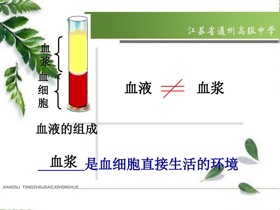 细胞生活的环境_第3页