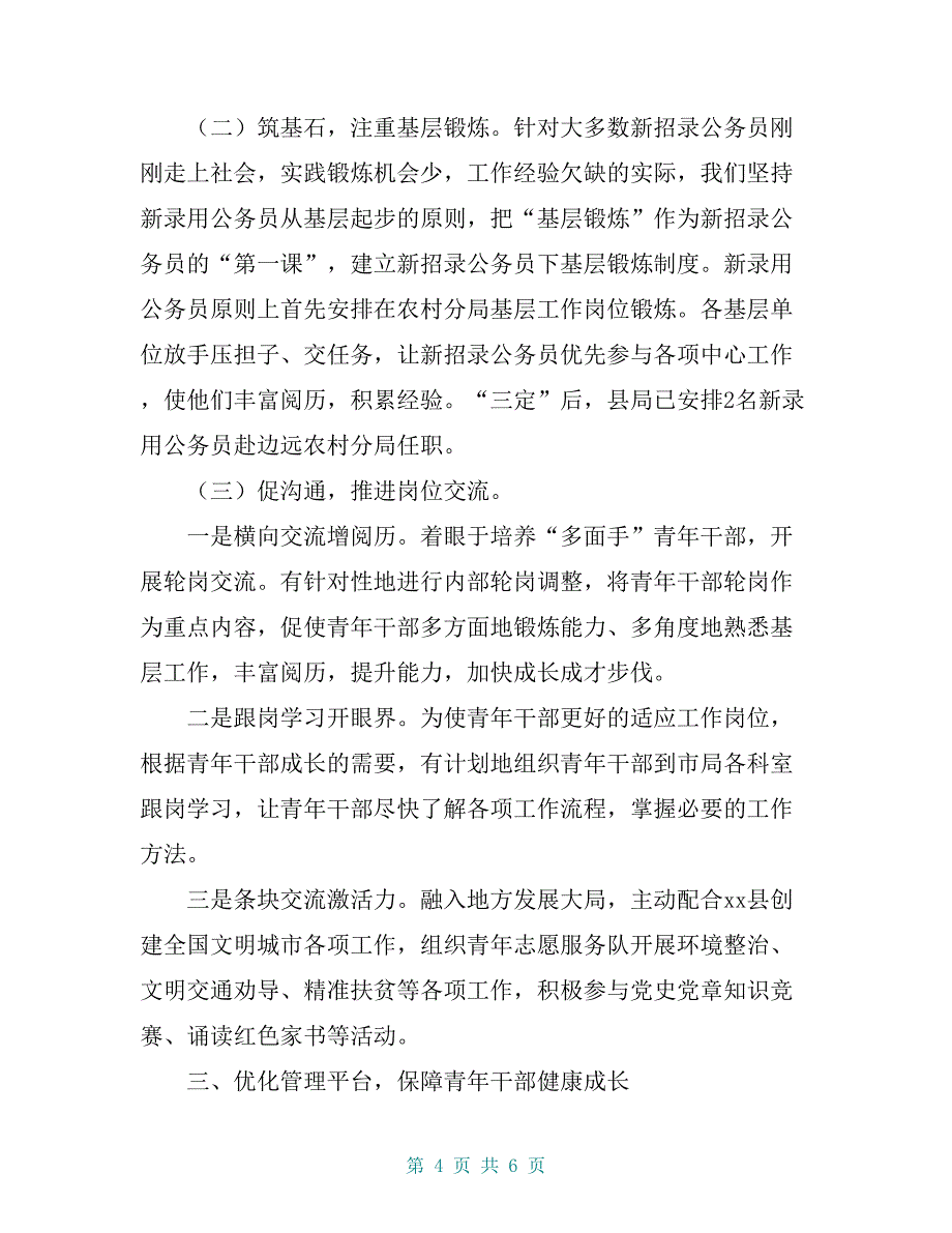 税务局青年干部培养经验材料：着力建设“三个平台” 加快青年干部成长_第4页