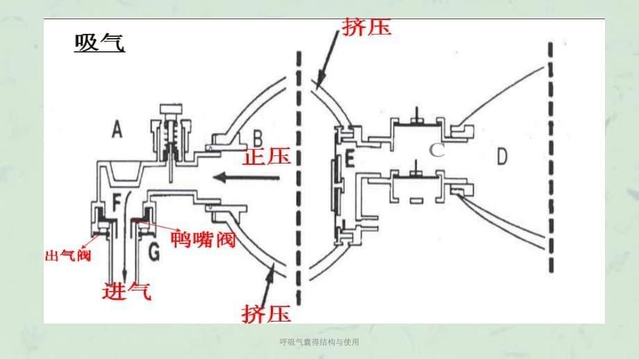 呼吸气囊得结构与使用课件_第5页