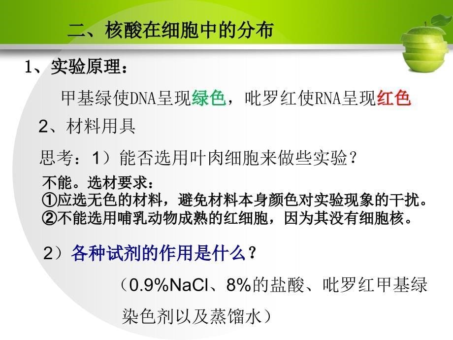 23遗传信息的携带者—核酸_第5页