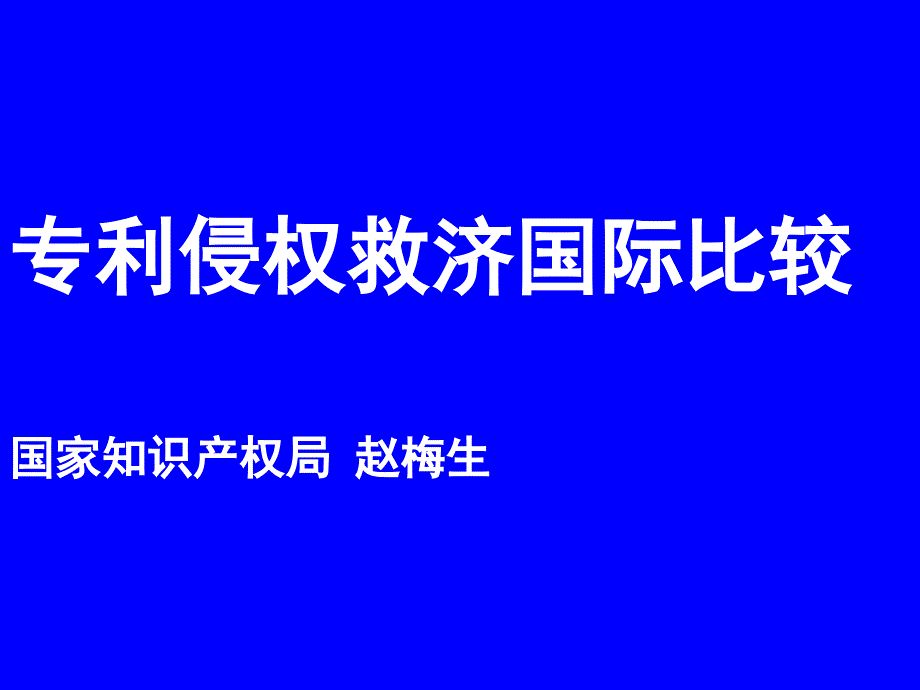 专利侵权救济国际比较_第1页