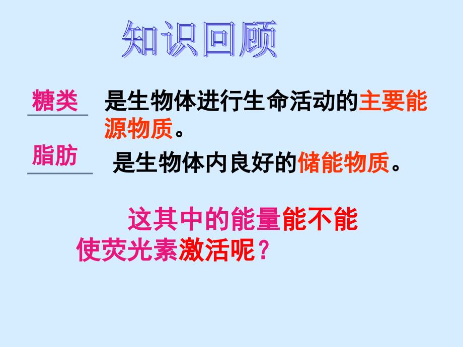 生物52细胞的能量通货ATP课件1人教版必修11_第4页