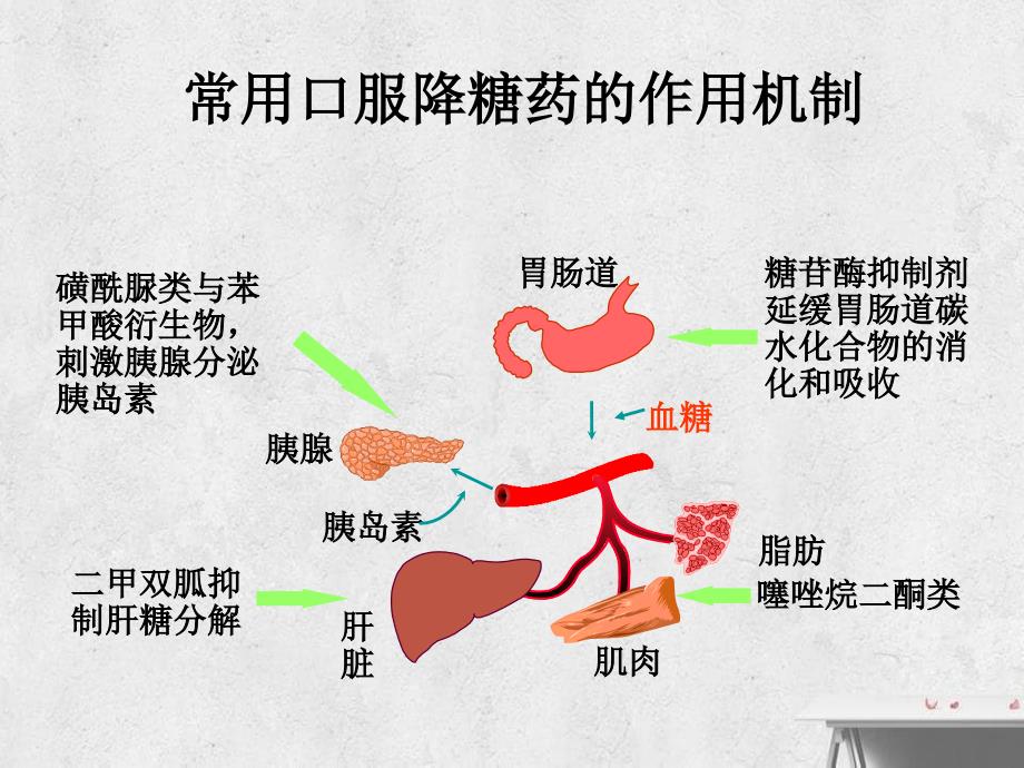 口服降糖药与胰岛素注射_第4页