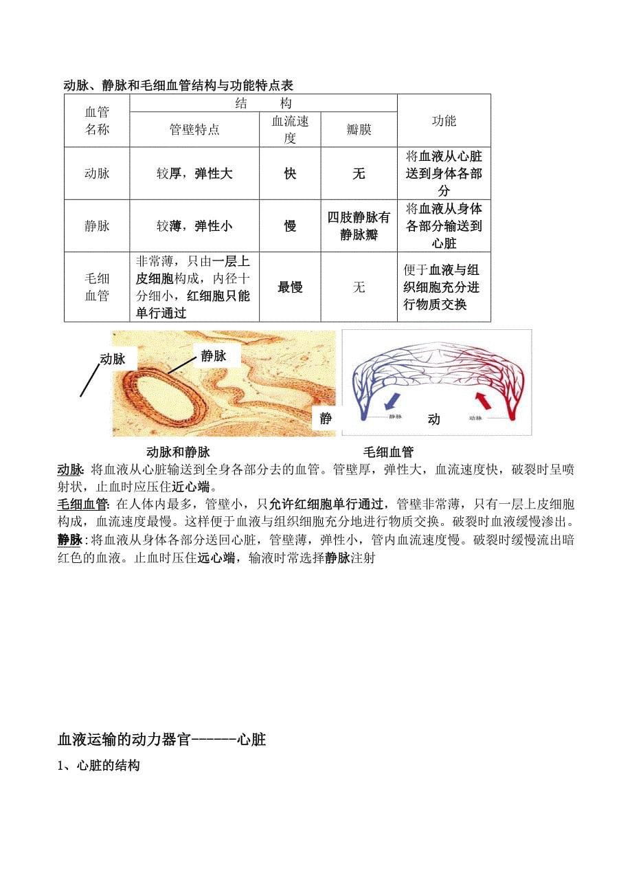 北师大版生物七年级下册知识点总结期末复习资料_第5页