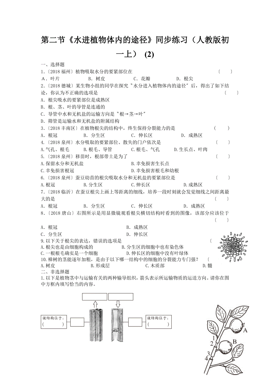 第二节《水进植物体内的途径》同步练习(人教版初一上)-.doc_第1页