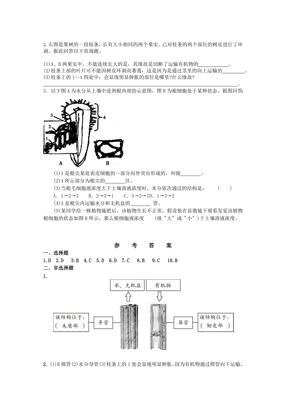 第二节《水进植物体内的途径》同步练习(人教版初一上)-.doc_第2页