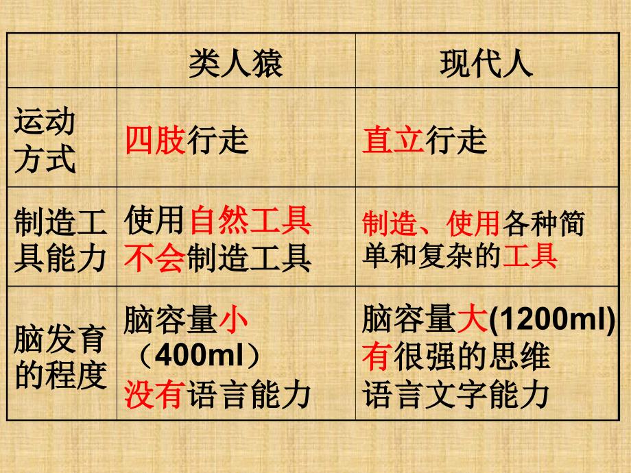 初中七年级生物下册411人类起源和发展的名师优质课件新版新人教版_第4页