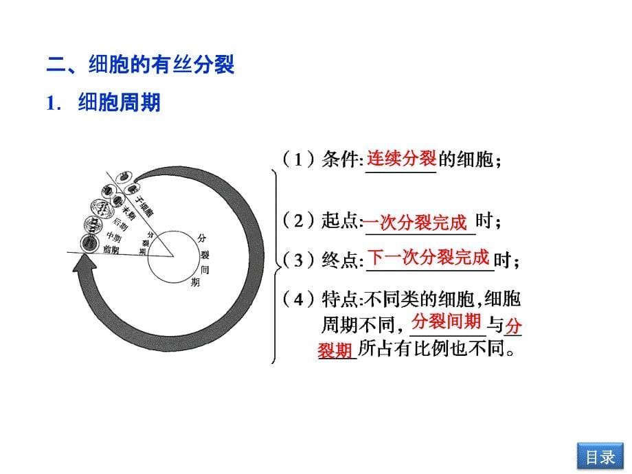 六章细胞的生命历程_第5页