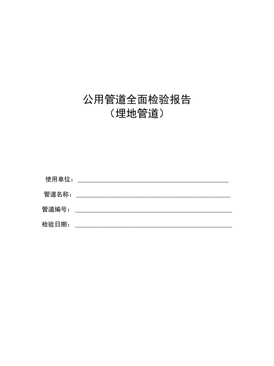 公用管道全面检验报告_第1页