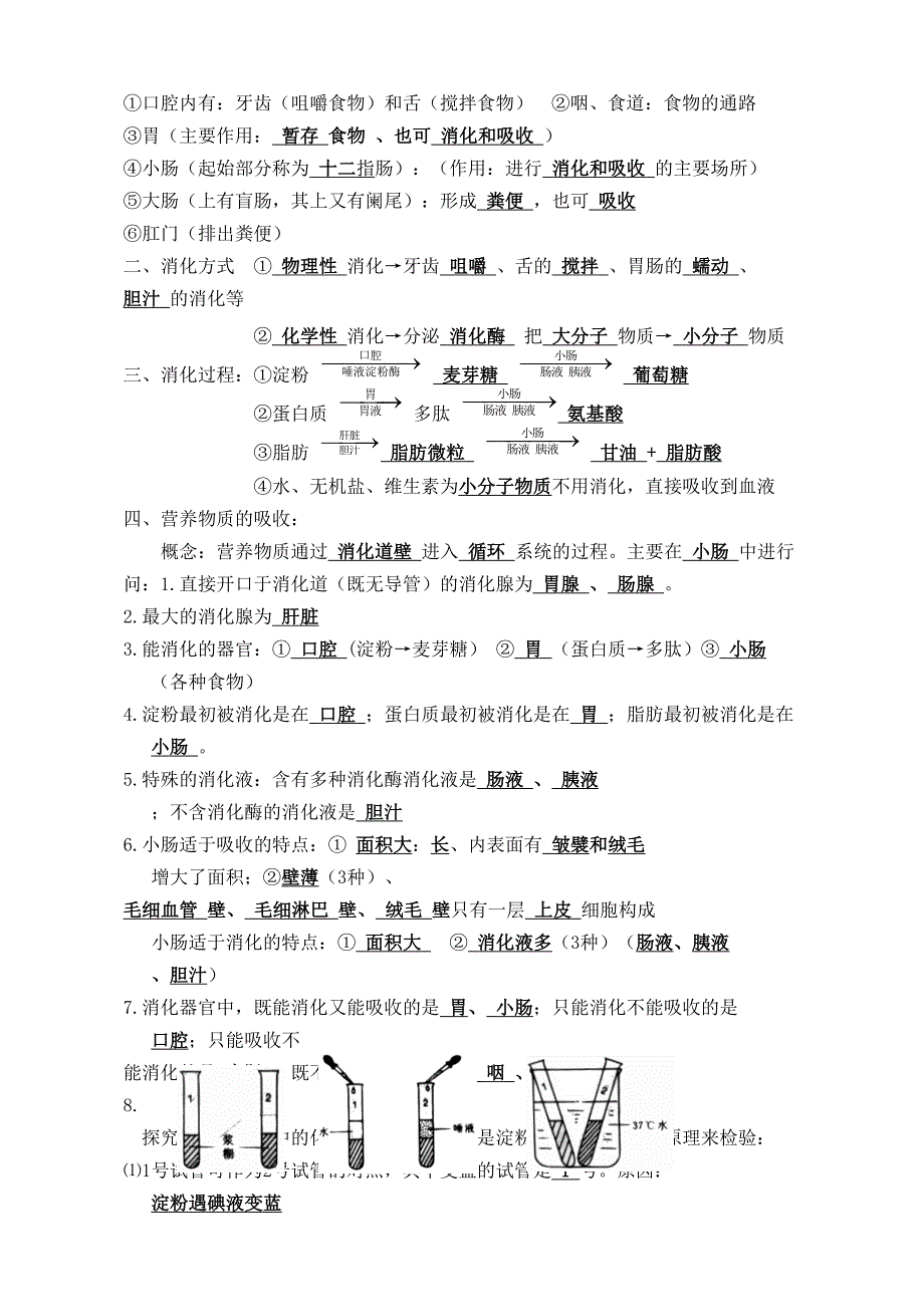 新人教版七年级下册生物复习资料(DOC 14页)_第3页