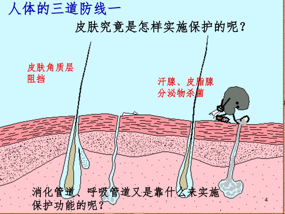 疫和计划免疫PPT课件_第4页