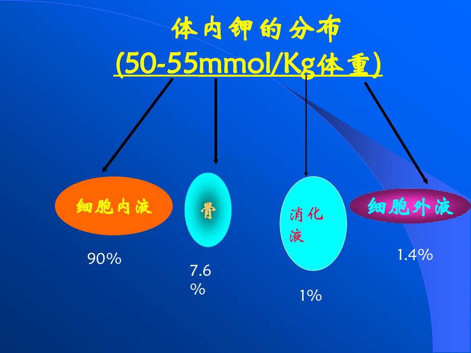 病理生理学：04 钾代谢紊乱_第3页