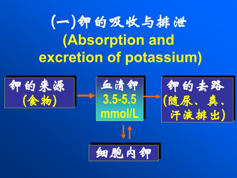 病理生理学：04 钾代谢紊乱_第4页